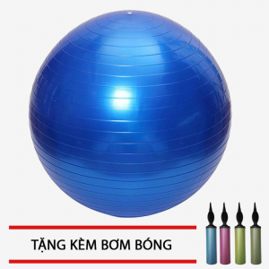 YOGA BALL – 65cm – BLUE