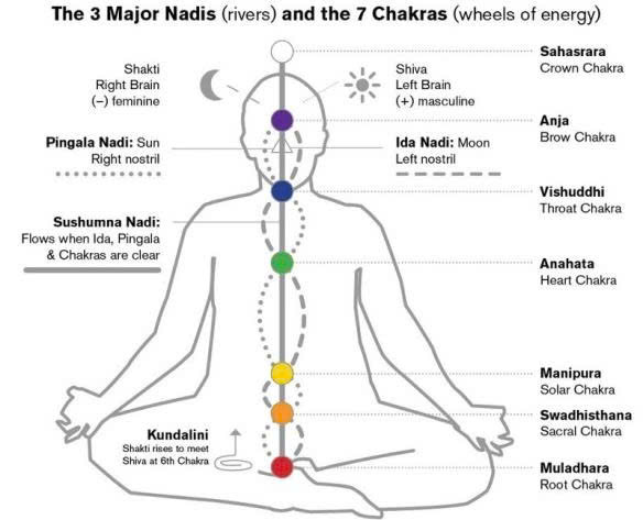Hình minh họa Hatha Yoga Pradipika mô tả luân xa, năng lượng nội thân, và Kundalini