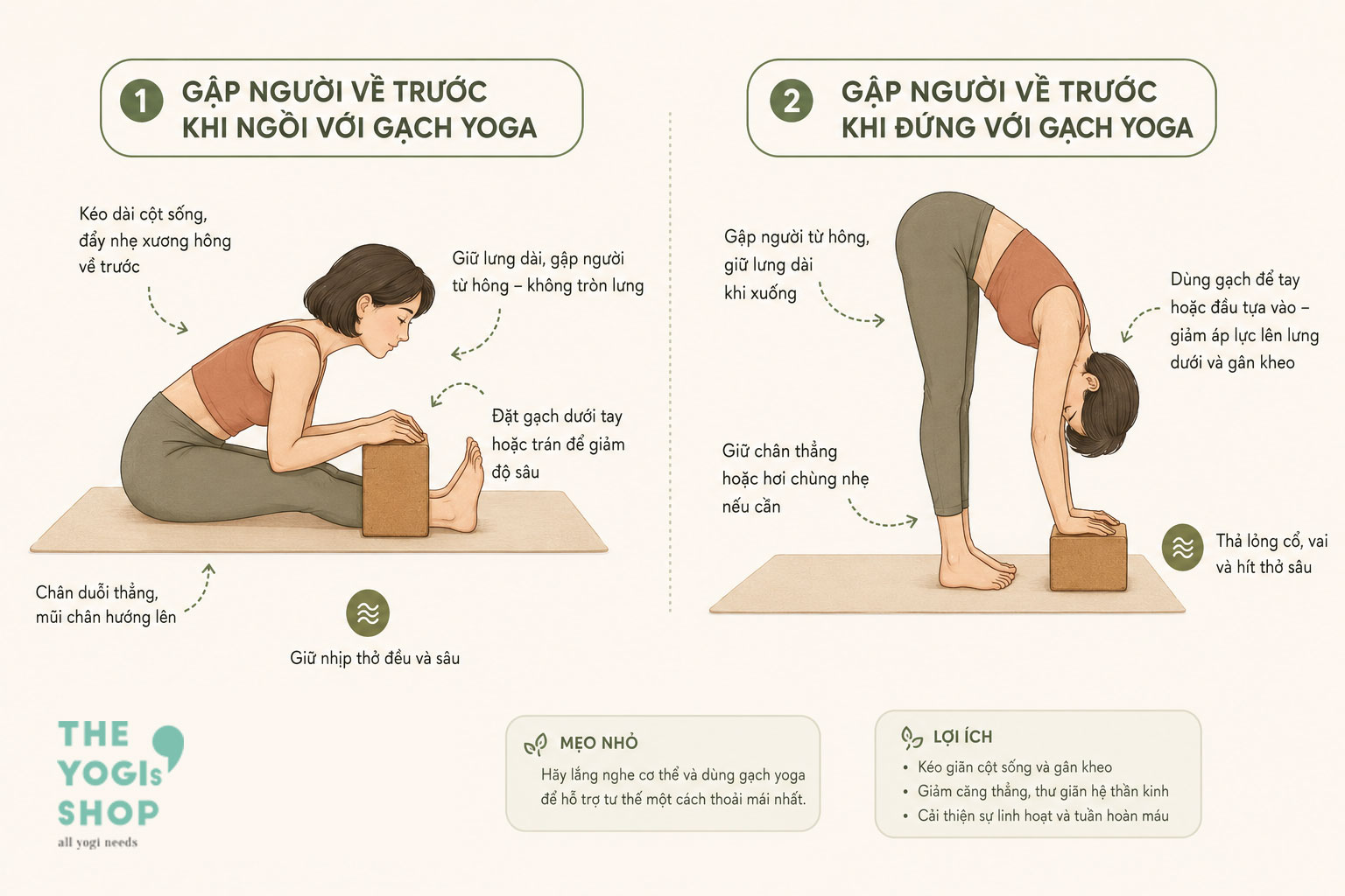 cách sử dụng gạch yoga trong tập luyện